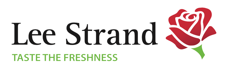 Lee Strand Logo Web