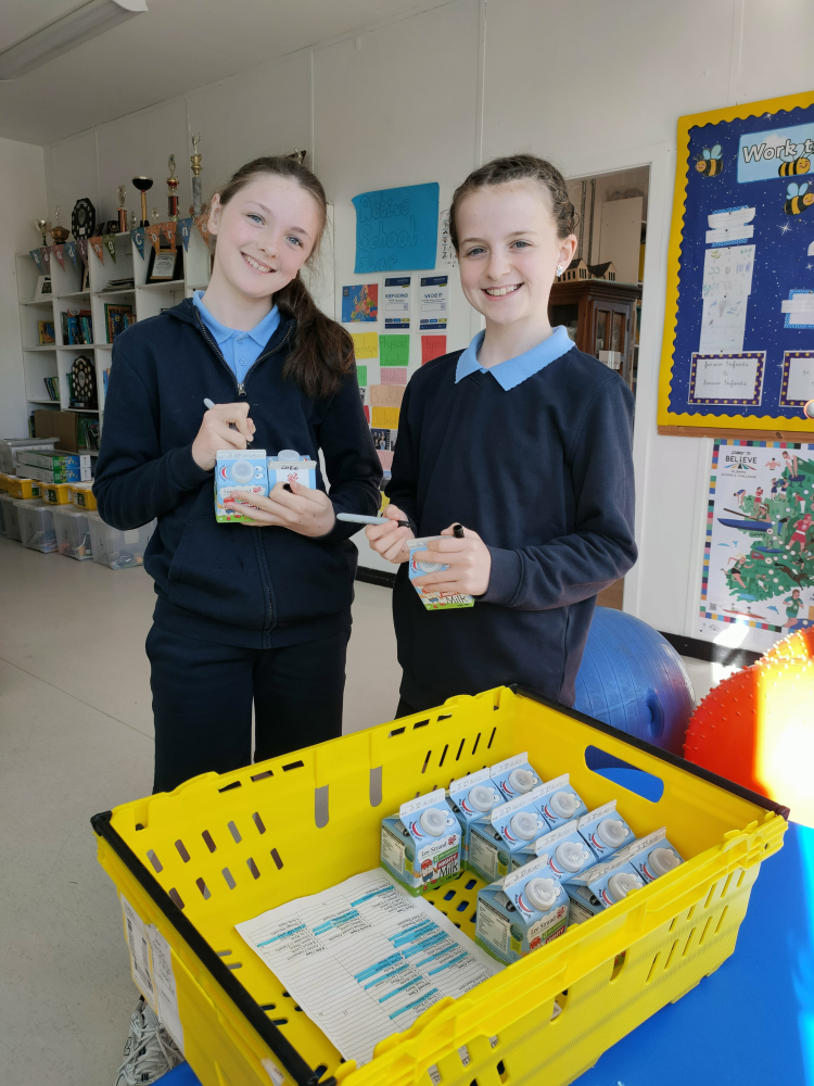 Lee Strand School Milk Programme Web